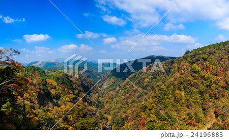 九重夢大吊橋からの紅葉の眺め　パノラマ 24196883