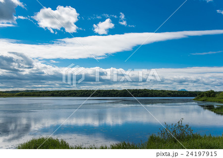 北海道 釧路湿原 シラルトロ湖の夏 北海道 釧路湿原 シラルトロ湖の夏 24197915