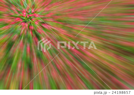 abstract background of planting flower in garden 24198657