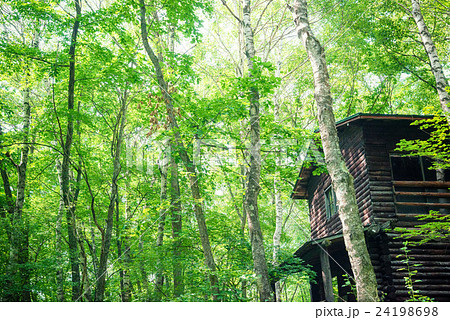 森の中の家の写真素材
