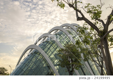 シンガポール 植物園 ガーデンズバイザベイ 24199495