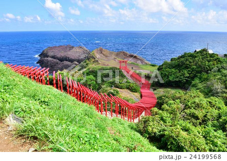 元乃隅稲成神社（山口県長門市） 24199568
