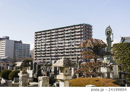 都会のマンションに囲まれてしまった墓地 24199804