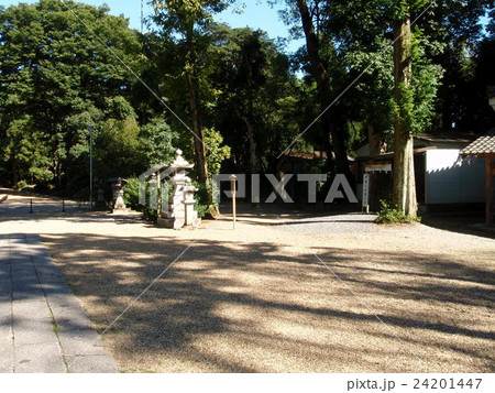 大和神社 大和神社 24201447