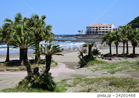 白浜ビーチ （宮崎県宮崎市） 24201468