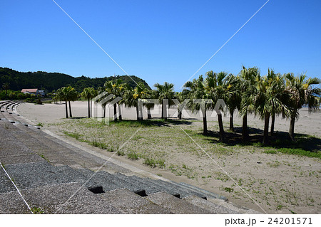 白浜ビーチ （宮崎県宮崎市） 24201571