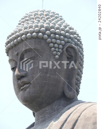 大仏 24202840