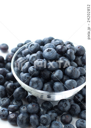 ブルーベリー 24202852