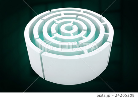 Composite image of circle maze 24205209