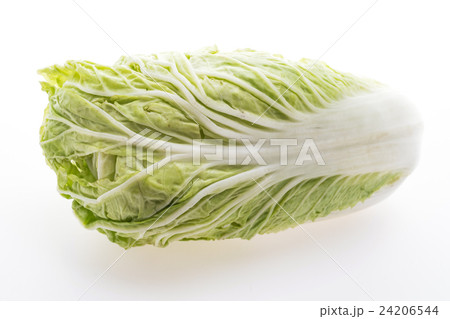 White lettuce or White cabbage White lettuce or White cabbage 24206544
