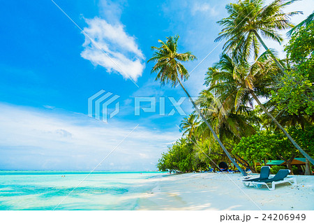 Maldives island 24206949