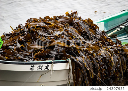 羅臼・昆布漁のイメージ 24207925