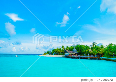 Maldives island Maldives island 24208378