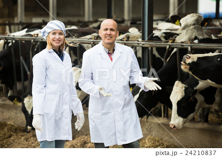 Portrait of farm workers in cowhouse 24210837