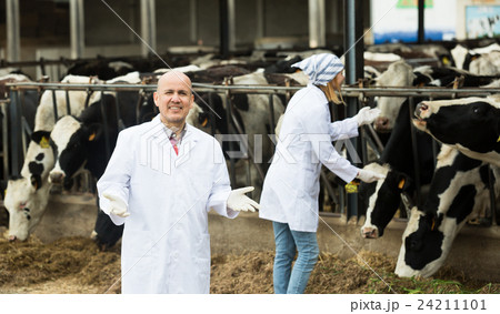 Portrait of farm workers in cowhouse 24211101