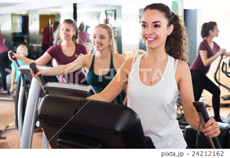 females training on elliptical trainers in fitness club females training on elliptical trainers in fitness club 24212162