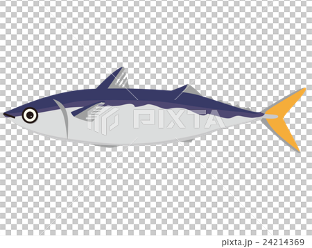 魚イメージ 24214369