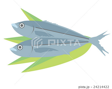 青魚イメージ 青魚イメージ 24214422
