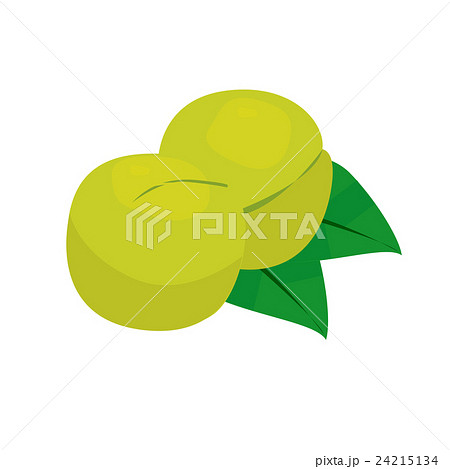 青梅 青梅 24215134