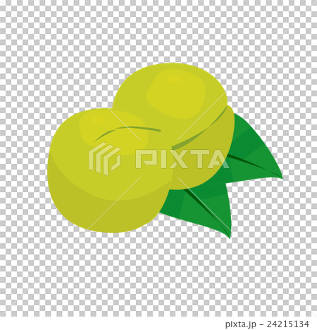 青梅 青梅 24215134