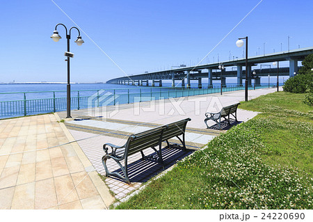 大阪・りんくう公園 24220690