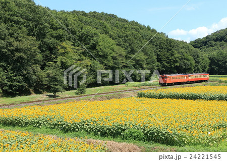 烏山線「ひまわり畑」俯瞰風景 24221545