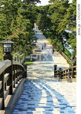 草加松原遊歩道 草加松原遊歩道 24221696