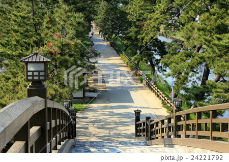 草加松原遊歩道 24221792