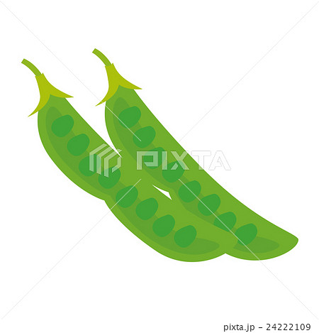 さやえんどう 24222109