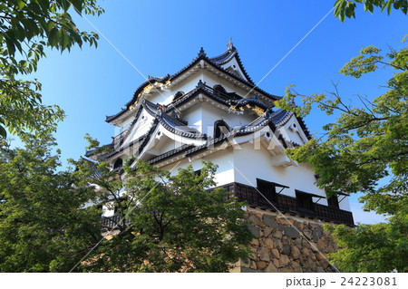 彦根城天守閣 24223081