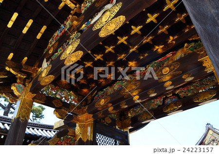 二条城 唐門(重要文化財) 二条城 唐門(重要文化財) 24223157