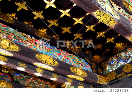 二条城 唐門(重要文化財) 二条城 唐門(重要文化財) 24223158