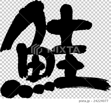 salmon salmon 24224077