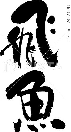 飛魚 飛魚 24224299