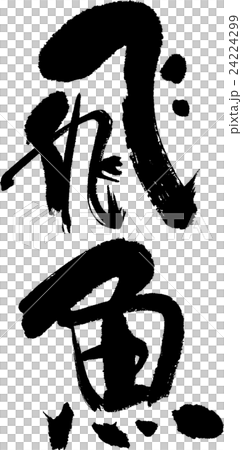 飛魚 飛魚 24224299