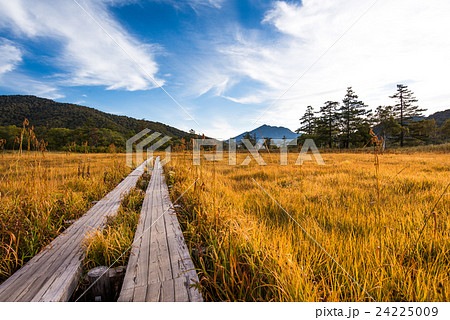 尾瀬ヶ原の紅葉　木道と燧ケ岳 24225009