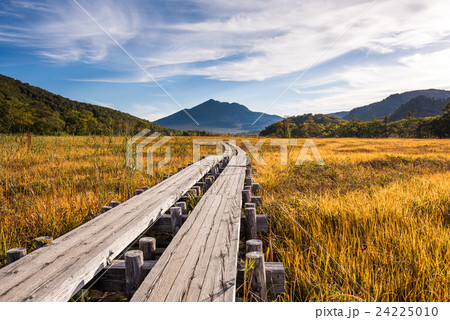 尾瀬ヶ原の紅葉 木道と燧ケ岳 尾瀬ヶ原の紅葉 木道と燧ケ岳 24225010