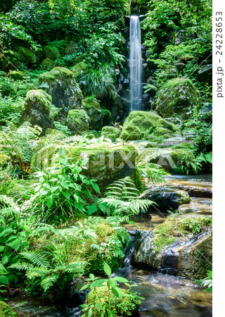 日本の庭園 日本の庭園 24228653