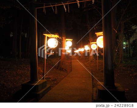 千葉県船橋市の高根神明社の鳥居と暗い参道を灯すたくさんの御祭禮と書かれた提灯 24228918