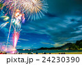 花火 24230390