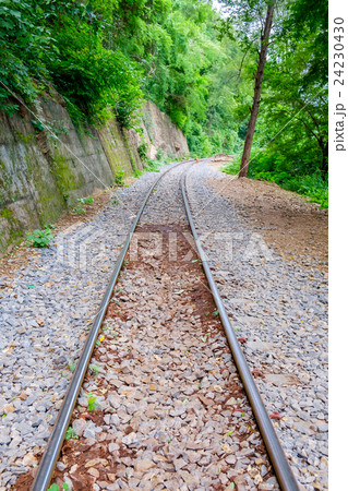 The Death Railway along the cliff and tree The Death Railway along the cliff and tree 24230430