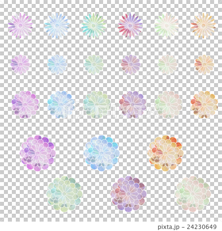 和の花 鮮やかな水彩 和の花 鮮やかな水彩 24230649