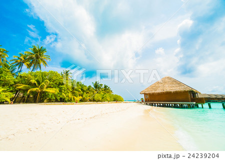 Maldives island Maldives island 24239204