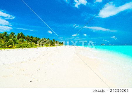 Maldives island Maldives island 24239205