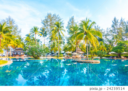 Outdoor swimming pool Outdoor swimming pool 24239514