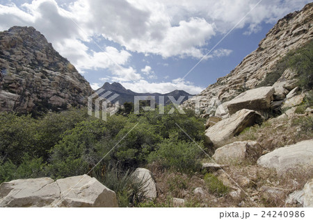 Nevada, Red Rock Canyon, Landscape with rock mountains Nevada, Red Rock Canyon, Landscape with rock mountains 24240986