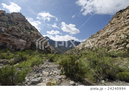 Nevada, Red Rock Canyon, Landscape with rock mountains Nevada, Red Rock Canyon, Landscape with rock mountains 24240994