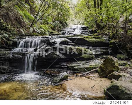 Australia, New South Wales, Blue Mountains National Park, Leura Cascades, Waterfall in forest Australia, New South Wales, Blue Mountains National Park, Leura Cascades, Waterfall in forest 24241404