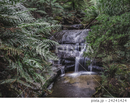 Australia, New South Wales, Blue Mountains National Park, Leura Cascades, Waterfall in forest Australia, New South Wales, Blue Mountains National Park, Leura Cascades, Waterfall in forest 24241424