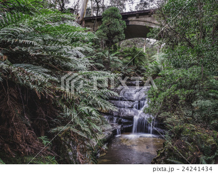 Australia, New South Wales, Blue Mountains National Park, Leura Cascades, Bridge over waterfall in forest 24241434